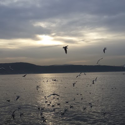 MUNICIPAL STADIUM SARIYER the ÇAYIRBAŞI