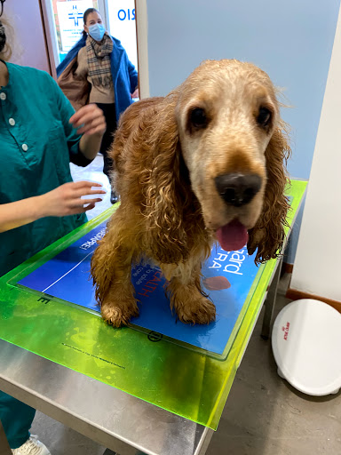 ambulatorio veterinario DON BOSCO - Thumbnail