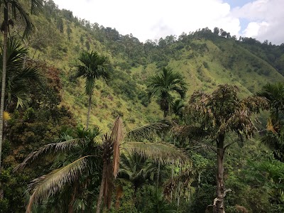 Photos of ella natural village