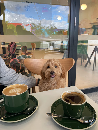Ant Coffee - Thumbnail