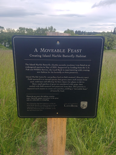 Zylstra Lake Preserve - Thumbnail