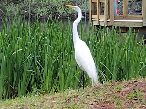 Macclenny Memorial Park - Thumbnail