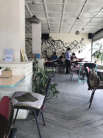 Photos of Alchemy Cafe