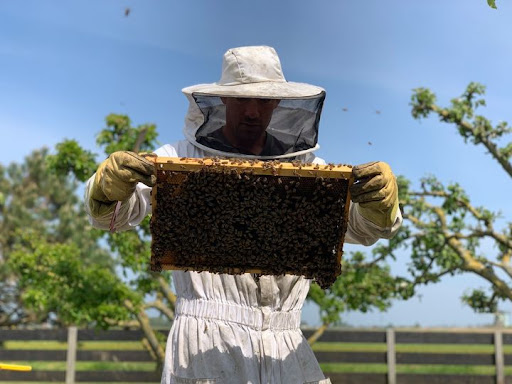 Bee to business
