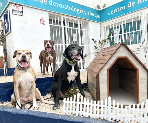 Althaia Veterinary Clinic