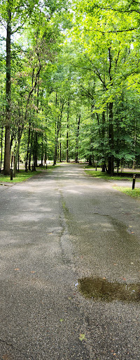 Meeman-Shelby Forest State Park Visitor Center - Thumbnail