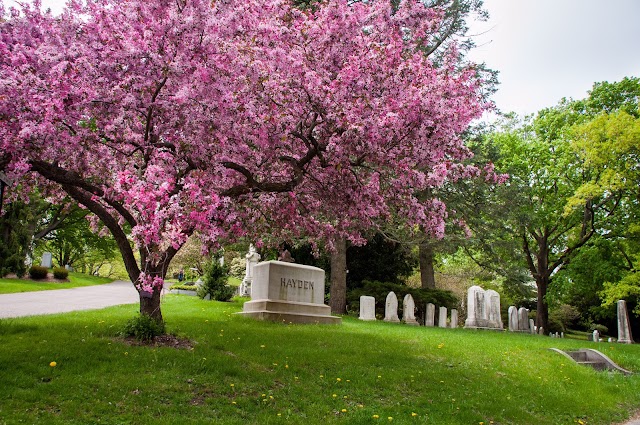 Mount Auburn Cemetery