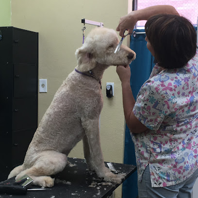 Green Bulldog Dog Wash and Spa