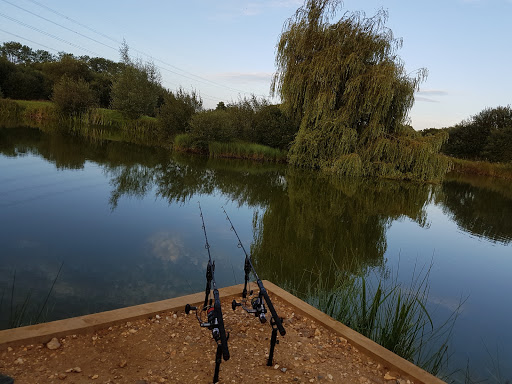 Headlands Farm Fishery - Thumbnail