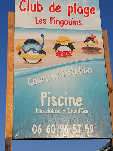 Club de plage Les Pingouins - Thumbnail