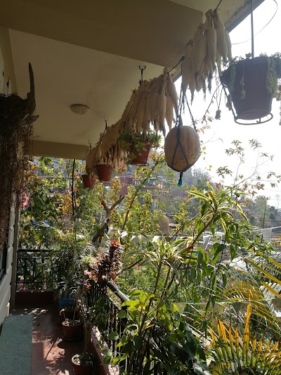 Photos of Nature Home Guest House