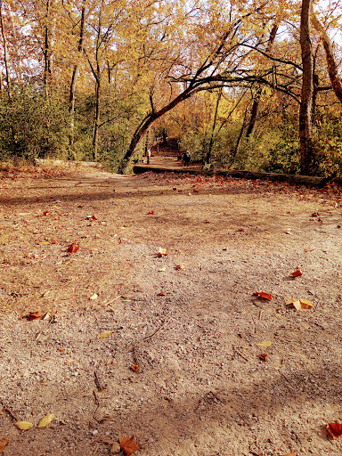 Sycamore Trails Park - Thumbnail