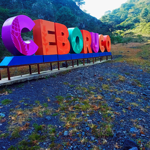 Fumarolas Volcán El Ceboruco