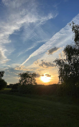 Pankow Park - Visual