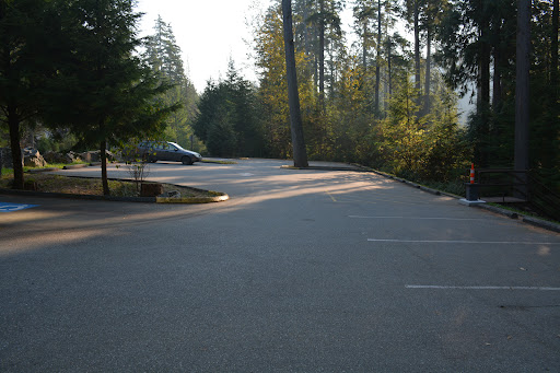 Woodhaven Parking lot - Thumbnail