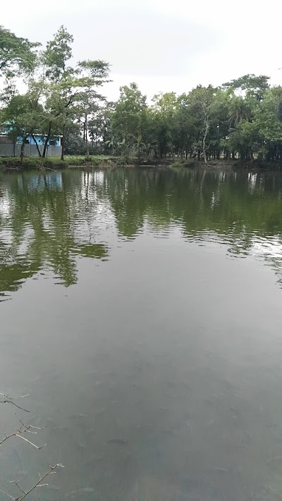 Photos of Haripur Bazar