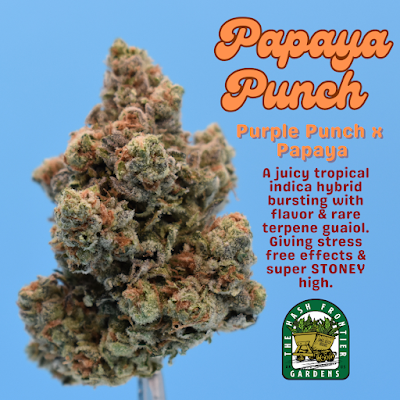 Photo of Highpothermia - Small Batch Organic Cannabis