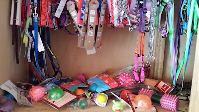 Photos of Centro Veterinario.