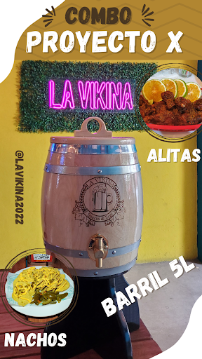 La Vikina - Visual