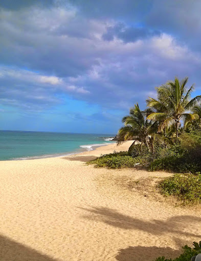 Beach Lovers Hawaii - Thumbnail