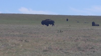 Wichita Mountains Wilderness (North Mountain Unit)