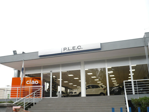 P.L.E.C. - Visual