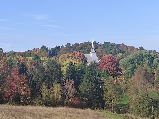 Sutton Spring - Visual