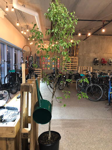 Plain Bicycle - Bicycle Garden Gallery - Canada