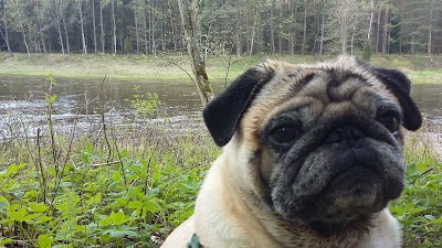 Photos of Neris Regional Park