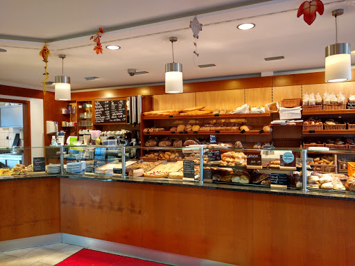 Trapper Bakery - Visual