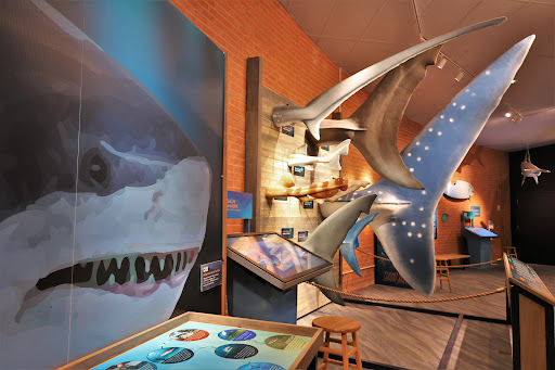 Flandrau Science Center and Planetarium - Thumbnail
