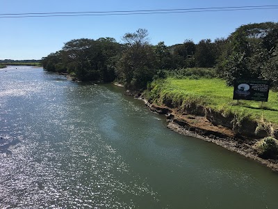 Photos of Tarcoles Crocodile Bridge
