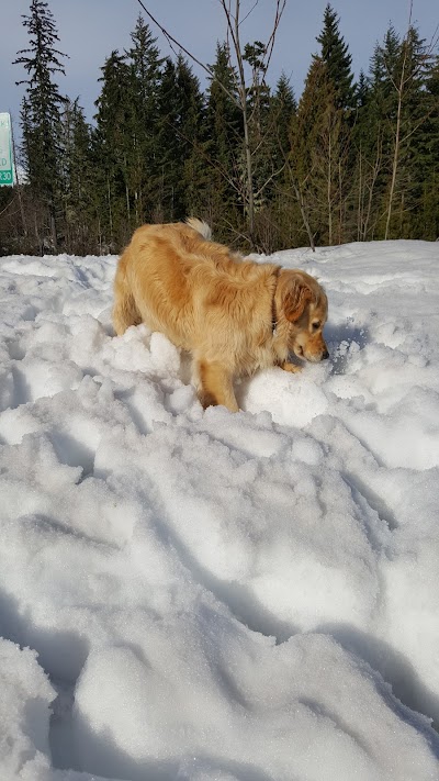 Trillium Sno Park