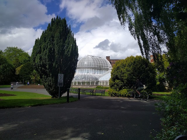 The Palm House