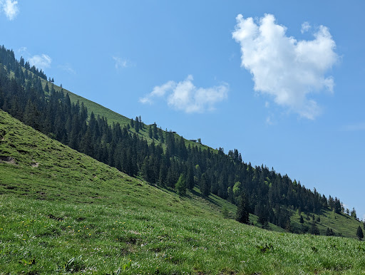 Samerberg - Visual