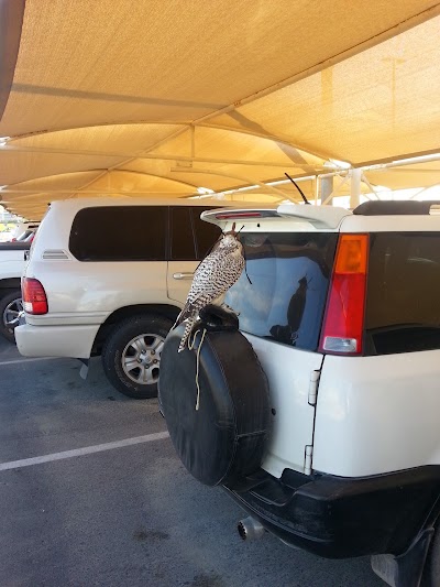 Photos of Terminal 1 Car Park