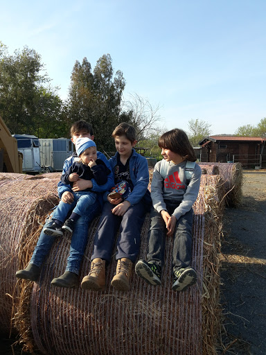 Rimessaggio Roulottes & Camper di Raffaele Nanci
