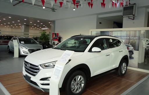 SPACE 6 Hyundai Car Dealership Gallery - Italy