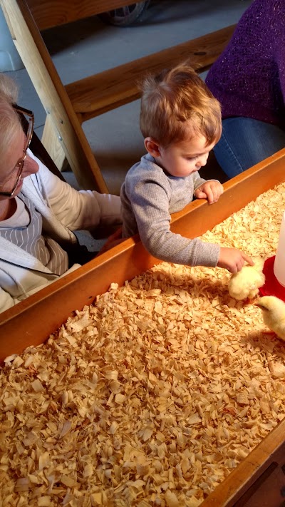 Photos of Cherry Crest Adventure Farm