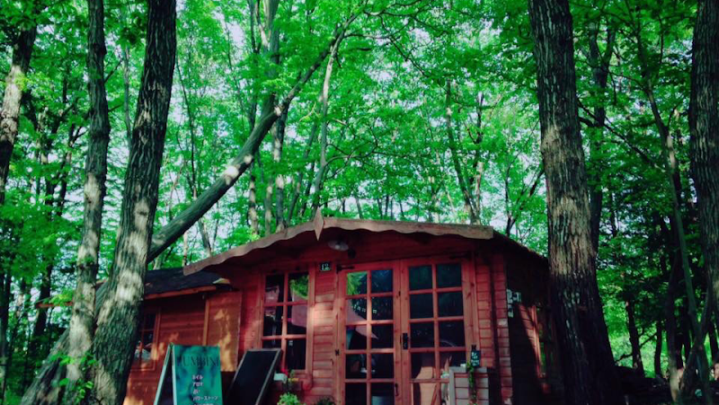 宇都宮 占い 紫微鑾駕 （旧ルンビニ）