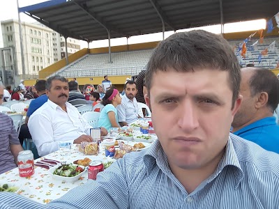 stadium