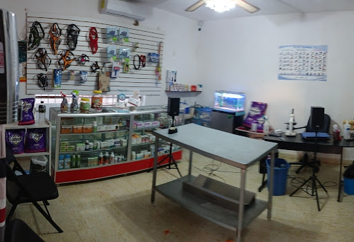 Dog-tor Calixto Veterinario