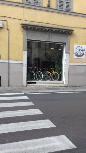 Cicli Grex Parma - Visual
