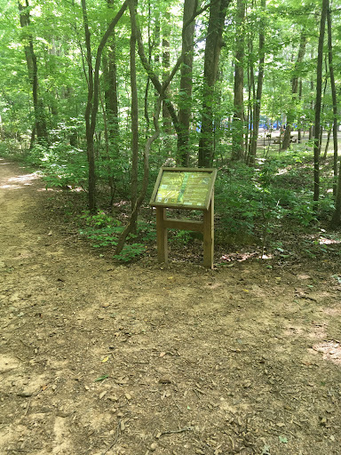 Flynn Crossing Mini Park - Thumbnail