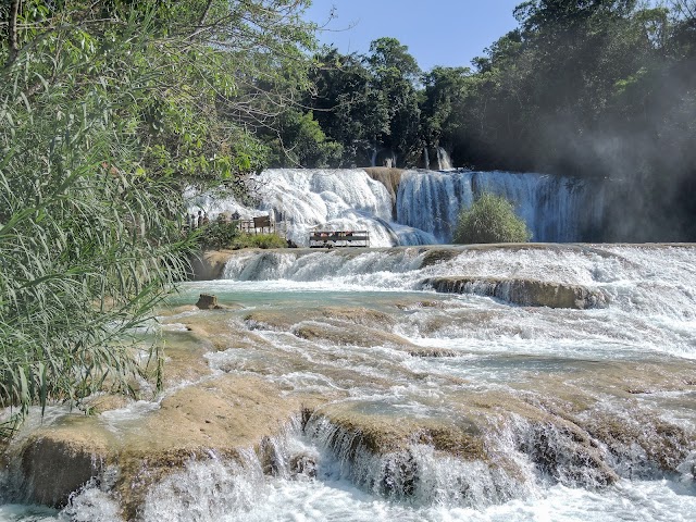 Agua Azul Waterfalls