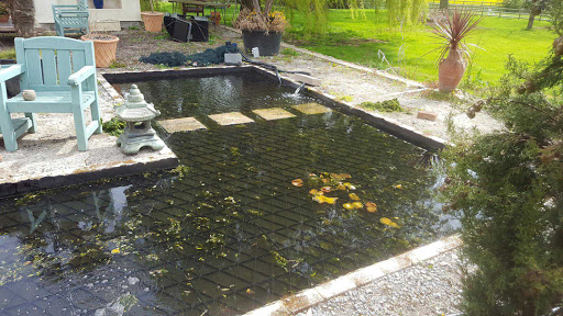 Pond Safety Ltd