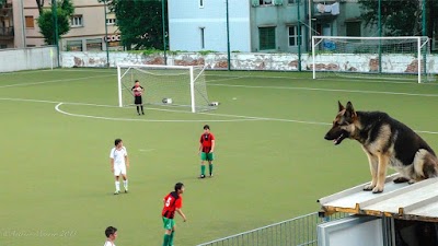 San Luigi Campo Sportivo