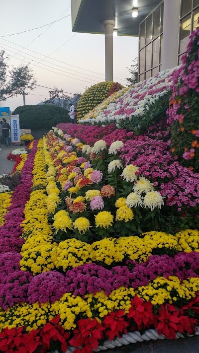 Photos of 삼성디지털프라자 화순점