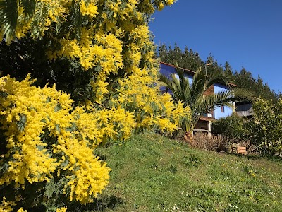 Photos of Rural apartment Ca 'La Roza