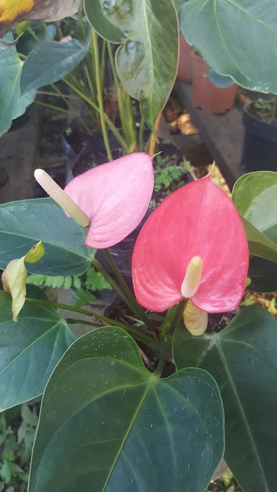 Photos of Vivero Santa Fe